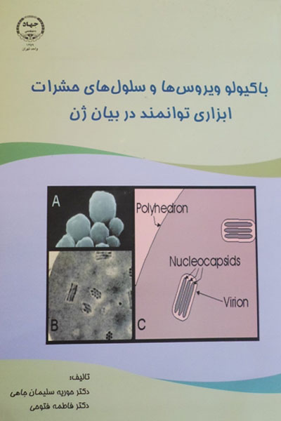 باکیولو ویروس ها و سلول های حشرات…