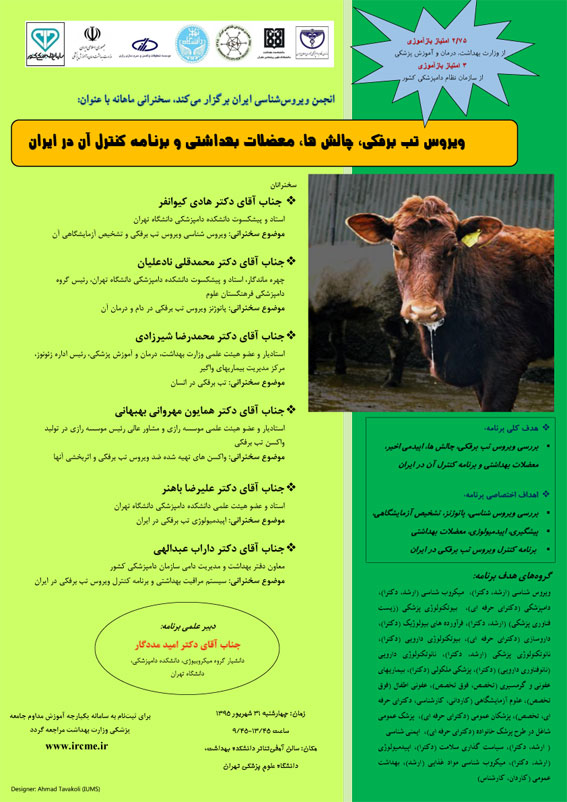 FMDV seminar 95 6 31